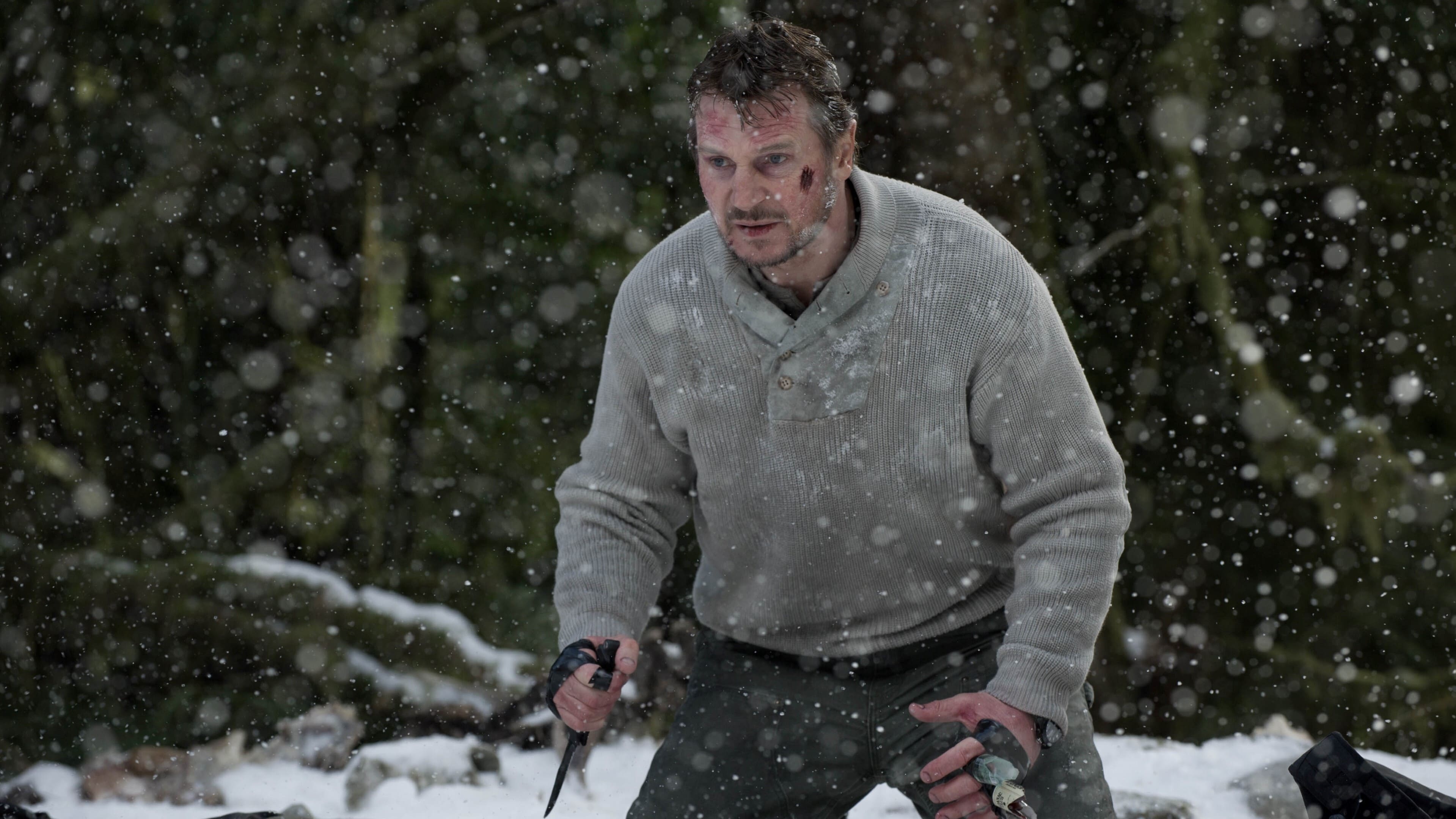 Disaster Thriller Action Violent Adventure Liam Neeson